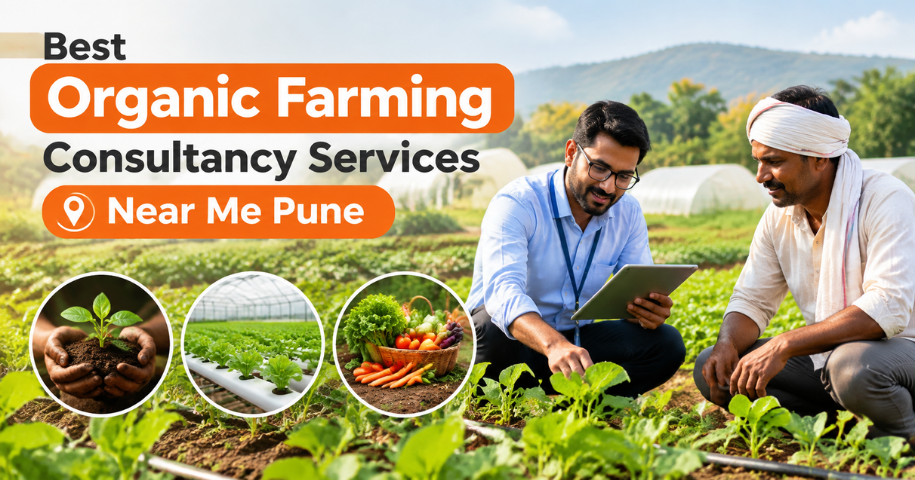 Best Organic Farming Consultancy Services Near Me Pune