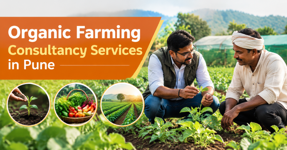 Organic Farming Consultancy Services in Pune