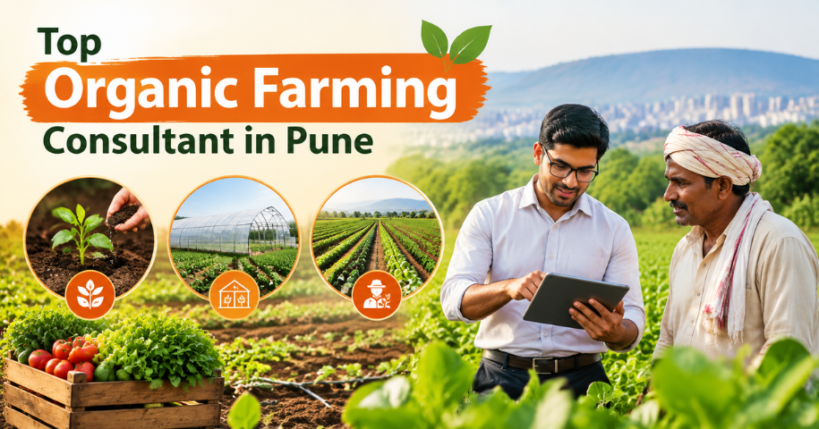 Top Organic Farming Consultant in Pune