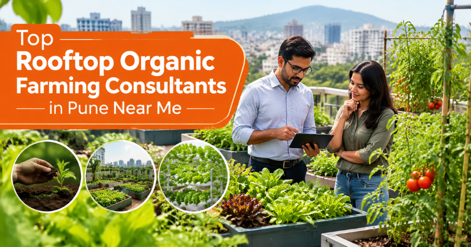 Top Rooftop Organic Farming Consultants in Pune Near Me